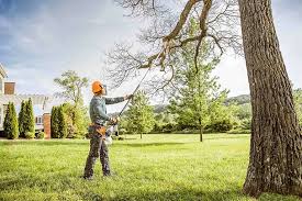 Lawn Watering Services in Williamson, WV